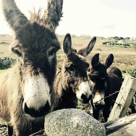 Dom wakacyjny Anna Ri, Wild Atlantic Way, Gweedore, County Donegal Gweedore