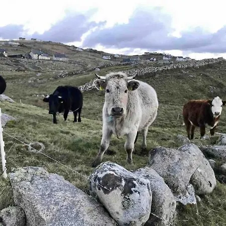 Anna Ri, Wild Atlantic Way, Gweedore, County Donegal